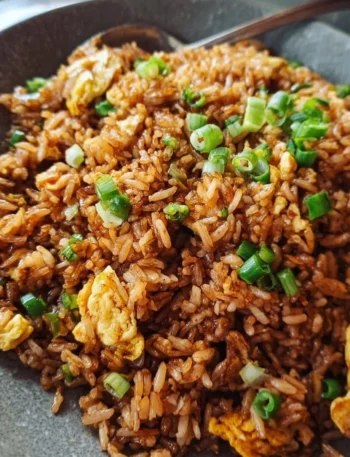 Bowl of Soy Sauce Fried Rice with vegetables and green onions