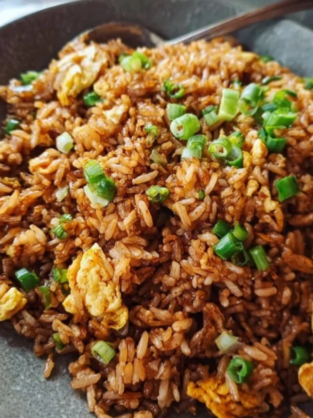 Bowl of Soy Sauce Fried Rice with vegetables and green onions